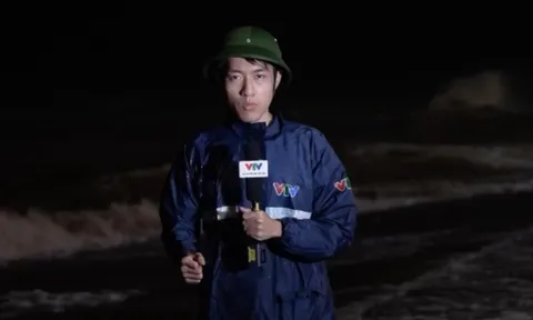 BTV VTV sinh năm 2000 "đội bão" đưa tin song ngữ: Là Thạc sĩ tốt nghiệp trường danh giá, nhận học bổng của Đức