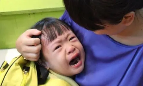 "Mẹ ơi, tại sao con phải đi học?", câu trả lời của mẹ quá thông minh khiến ai cũng vội học hỏi