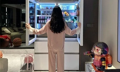 Tủ lạnh 5 triệu và 50 triệu khác nhau thế nào? Tìm hiểu rồi mới thấy đúng là tiền nào của nấy!