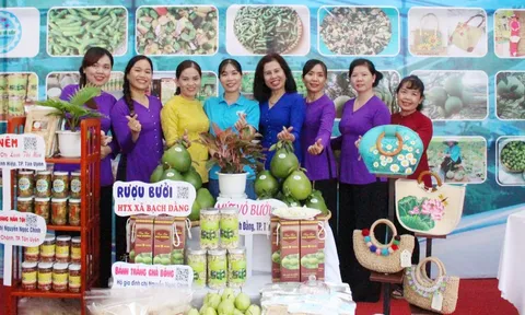 Hỗ trợ phụ nữ khởi nghiệp