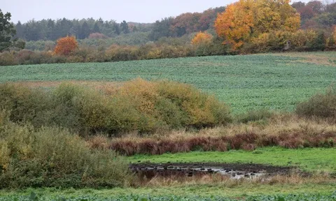 Phát hiện thi thể bé trai 8 tuổi bên bờ ao, người mẹ tiết lộ "linh cảm không lành"