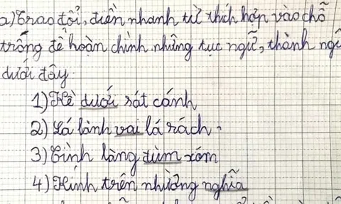 Cô giáo yêu cầu điền thành ngữ "lá lành..., tình làng...", loạt đáp án học sinh đưa ra khiến phụ huynh đỏ mặt