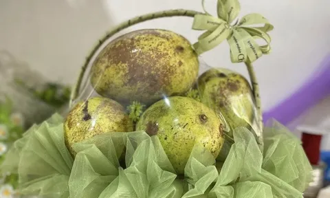 Giỏ hoa quả một phụ huynh tặng cho giáo viên lớp con nhân dịp 20/11 gây tranh cãi