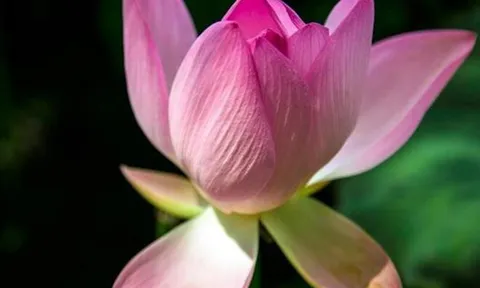 2 kiểu hàng xóm chớ giao du, 3 kiểu họ hàng chớ gần gũi