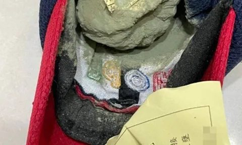 Con luôn khen cơm trưa ở trường ngon lắm, mẹ lục cặp sách thấy vật lạ bốc mùi mốc xanh