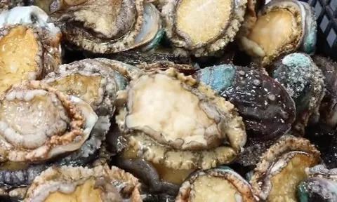 Bữa ăn trưa tại một trường mẫu giáo “gây sốt” MXH, chỉ 70 nghìn nhưng toàn bào ngư, tôm hùm, hải sâm