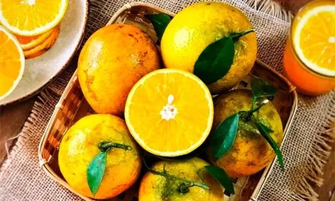 Loại quả "tốt nhất thế giới" được trồng bạt ngàn ở Việt Nam, thành đặc sản chỉ từ 8.000 đồng/kg, tốt cho sức khỏe