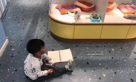 Cô giáo giao bài tập về nhà vẽ tranh thú cưng, tác phẩm của cậu học sinh khiến giáo viên hoang mang, khó chấm điểm