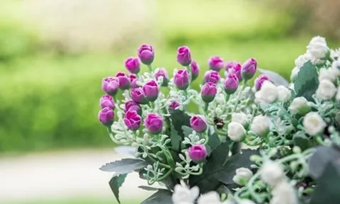 Người thực sự khôn ngoan không bao giờ khoe khoang 2 điều, kẻ nông cạn lại thường rêu rao khắp nơi