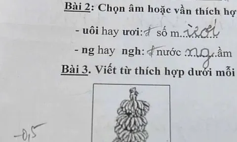 Cô giáo giao bài tập tiếng Việt điền từ, học sinh lớp 1 đưa ra loạt đáp án khiến cộng đồng mạng xôn xao