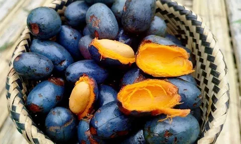 Loại quả xưa rụng đầy gốc không ai nhặt, giờ thành đặc sản được người thành phố săn lùng, tốt cho sức khỏe