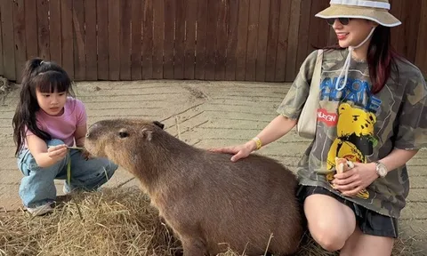 Diệp Lâm Anh sum vầy cùng hai con đầu năm 2026, người đi đường kể cảnh cô một nách hai con đầy vất vả