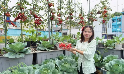 Mẹ đảm TP.HCM chi 30 triệu làm vườn, 4 giờ sáng mỗi ngày lên sân thượng chăm rau