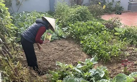 Mẹ bỉm ở quê khiến CĐM bái phục: Nhà 5 người chi phí 7 triệu, cuối tháng còn dư mua 1,2 chỉ vàng