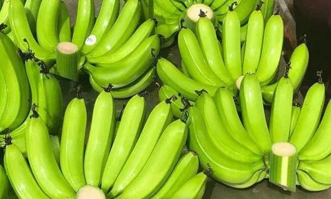 Tại sao nải chuối lẻ giá cực cao nhưng nhiều người vẫn săn lùng? Cách chọn chuối thờ Tết đẹp, may mắn