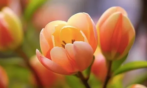 3 điều người khôn ngoan không chia sẻ với bất kỳ ai, kể cả cha mẹ, con cái hay bạn đời