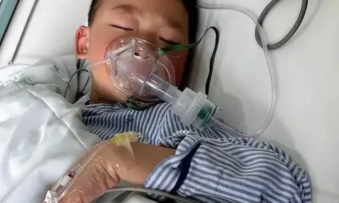 Bé trai 12 tuổi TQ bị ung thư giai đoạn cuối vì ông bà nội chiều, thường xuyên cho cháu ăn món mà nhiều trẻ em Việt thích