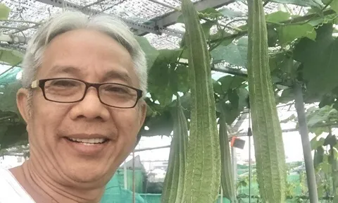 "Nông trại tầng thượng" 40m2 giữa lòng Sài Gòn của NSƯT Trung Dân: Mướp khía, bầu hồ lô lủng lẳng đầy đầu!