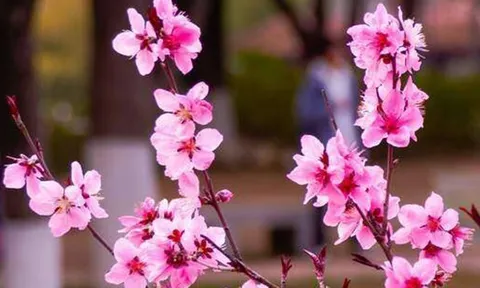 Đời người, điều gì là đắt giá nhất?