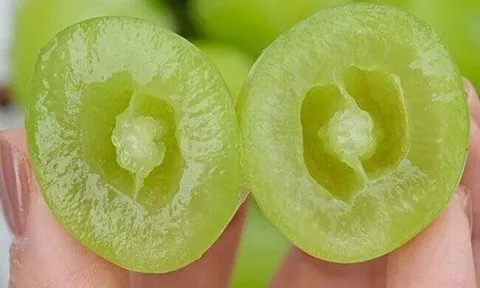 Loại quả đắt nhất thế giới, Việt Nam trồng 2 năm cho thu hoạch, thành đặc sản nổi tiếng tốt cho sức khoẻ