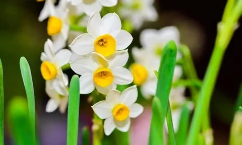 Người khiêm tốn trong 3 điều này thường không đơn giản, rất khôn ngoan và bản lĩnh