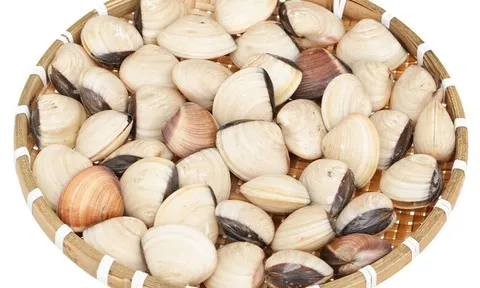 Mua ngao về nhiều cát, ngư dân kinh nghiệm 10 năm mách cho ngao uống thứ này 5 phút là nhả sạch, tha hồ nấu ăn