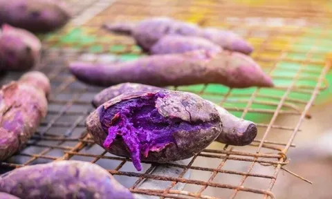 Món nhà nghèo xưa ăn đến chán ngán, nay thành đặc sản nổi tiếng ở thành phố vì hương vị lạ, tốt cho sức khoẻ