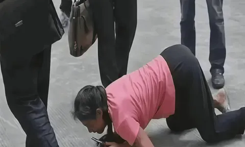 “Nó là em ruột của con mà!” - Người mẹ ngoài 60 tuổi quỳ xin con gái, câu đáp trả của cô gây tranh cãi