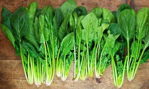 Mướp rất bổ, ví như "nhân sâm người nghèo" nhưng kỵ với 3 thứ này, đừng dại nấu chung nhé!