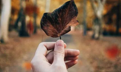 3 kiểu người "đẳng cấp" đứng sau những trang cá nhân trống trơn: Không phải cố ẩn mình, mà bởi nội tâm quá vững vàng