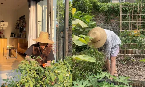 Không thể mua nhà Hà Nội, gái xinh 9X về Bắc Ninh vay tiền xây tổ ấm 85m2 xinh như mộng, vườn trồng đầy hoa trái