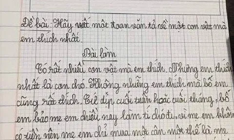 Bé tiểu học viết văn tả con vật yêu thích, cô giáo đọc xong liền mời phụ huynh đến trường