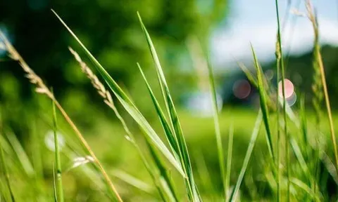 Sau tuổi 40, người khôn ngoan đóng lại 3 cánh cửa này