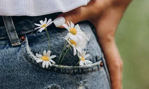 Thay vì đuổi theo quý nhân, người biết 3 điều này biến mình thành thỏi nam châm thu hút họ