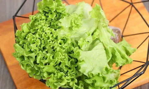 Loại rau "tốt nhất thế giới", Việt Nam trồng bạt ngàn chỉ 45 ngày cho thu hoạch, thành đặc sản tốt cho sức khoẻ
