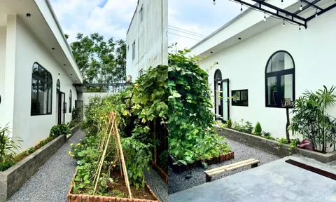Xuất khẩu lao động trở về quê, mẹ bỉm U30 Quảng Trị tích luỹ gần 1 tỷ xây căn nhà có khu vườn đẹp mê