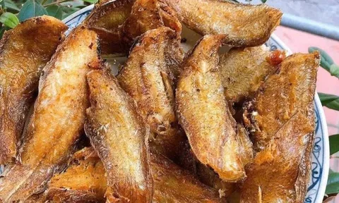 Loài cá quen thuộc ở quê "tốt hơn cá hồi", xưa giá rẻ nay thành đặc sản 100.000 đ/kg, tốt cho sức khỏe