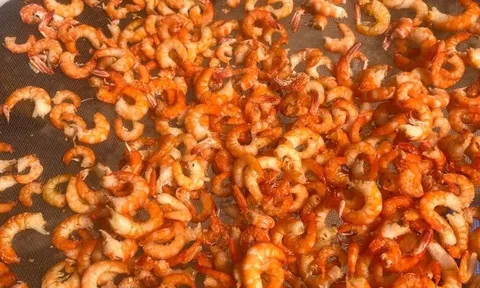 Loại hải sản "tốt nhất thế giới", Việt Nam bán đầy chợ từ 70.000 đ/kg, làm đủ món đặc sản tốt cho sức khỏe
