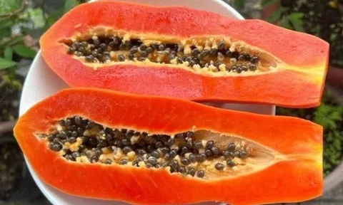 Loại quả "tốt nhất thế giới" có ở Đồng Tháp, trồng 8 tháng cho thu hoạch, thành đặc sản tốt cho sức khoẻ