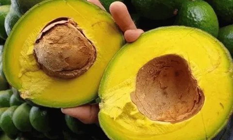 Loại quả "tốt nhất thế giới" chỉ có ở Tây Nguyên, trồng 1 lần thu hoạch nhiều năm, luôn là đặc sản, ăn tươi hay làm kem đều ngon