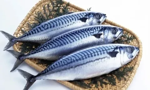 Loại cá bình dân bán đầy chợ Việt nhưng giàu omega-3 hơn cá hồi, thành đặc sản làm nhiều món ngon, tốt cho sức khỏe