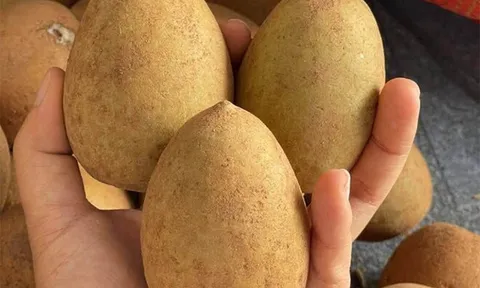 Loại quả mọc bờ rào xưa chín rụng đầy nay thành đặc sản giá 45.000 đ/kg, trồng một lần thu hoạch nhiều năm, tốt cho sức khỏe