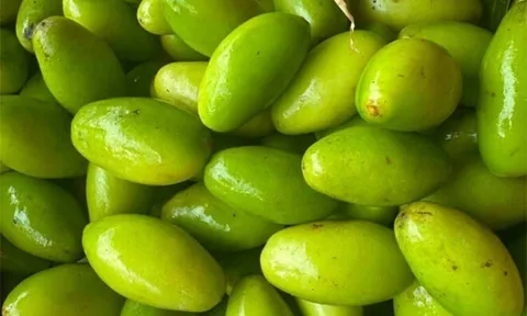 Loại quả xưa chín rụng đầy nay thành đặc sản giá 120.000 đ/kg, trồng một lần thu hoạch nhiều năm, tốt cho sức khỏe