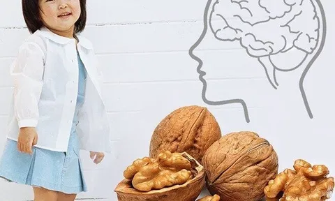 Bật mí dinh dưỡng có trong hạt óc chó, thực phẩm vàng tốt cho trí não của bé, bố mẹ nên bổ sung vào thực đơn