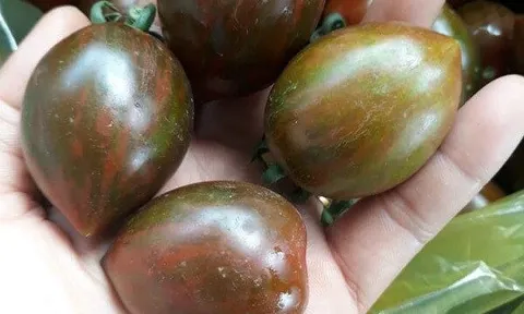 Loại quả xưa không ai biết đến nay thành đặc sản giá 100.000 đ/kg, trồng một lần thu hoạch nhiều năm, tốt cho sức khỏe