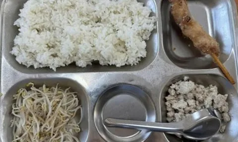 Chuyên gia dinh dưỡng nói về suất ăn bán trú của học sinh: Đâu mới là vấn đề chính bố mẹ cần quan tâm?