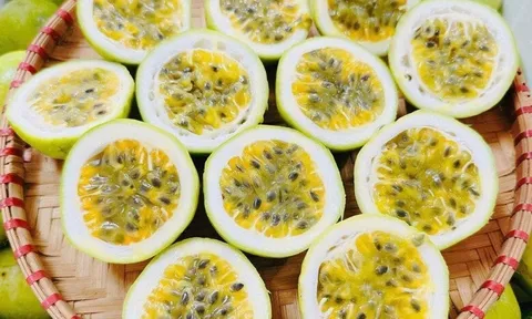 Loại quả mọc bờ rào xưa không ai biết đến nay thành đặc sản 90.000 đ/kg, trồng một lần thu hoạch nhiều năm, tốt cho sức khỏe