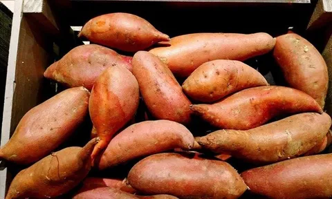 Luộc khoai lang cứ tưởng phải cho đường mới ngọt, ai ngờ đây mới là thứ khiến khoai ngon, bở tung, nhìn là thèm
