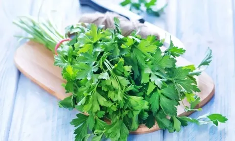 Loại rau tốt trên thế giới, Việt Nam trồng bạt ngàn chỉ 30 ngày cho thu hoạch bán giá rẻ bèo, tốt cho sức khoẻ