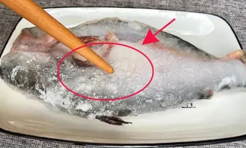Rã đông cá đừng cho trực tiếp vào nước, thử 2 kỹ thuật này, cá nhanh mềm lại giữ vị tươi ngon